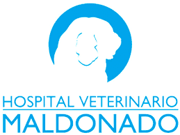 Hospital Veterinario Maldonado